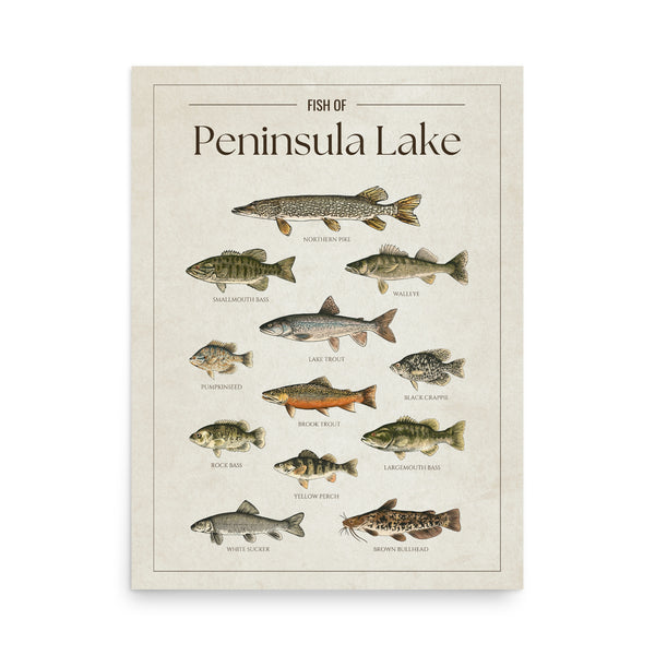 Peninsula Lake Print