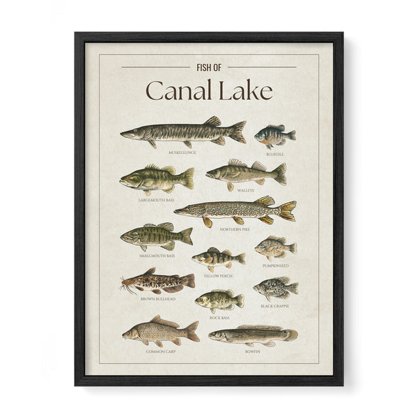 Canal Lake Print