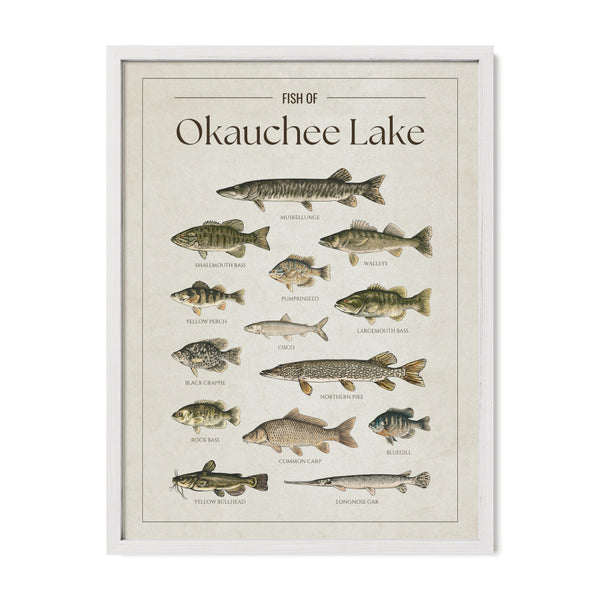 Okauchee Lake Print