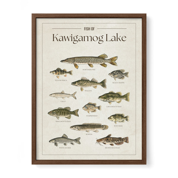 Kawigamog Lake Print