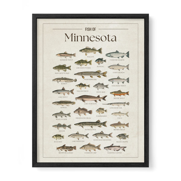 Minnesota Print