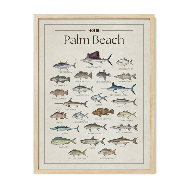 Palm Beach Print