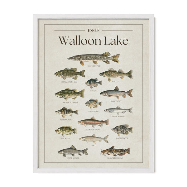 Walloon Lake Print