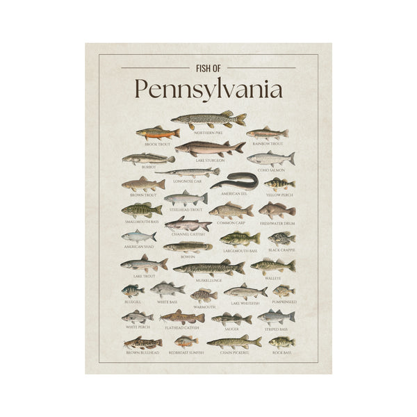 Pennsylvania Print