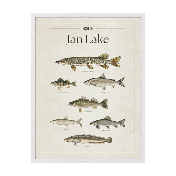 Jan Lake Print