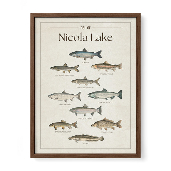 Nicola Lake Print