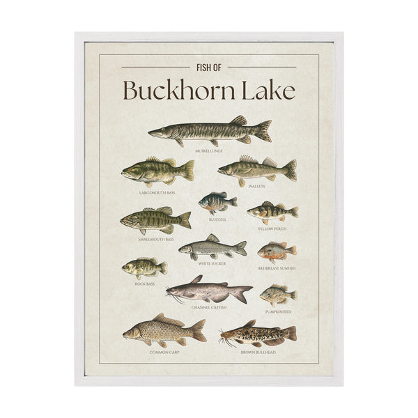 Buckhorn Lake Print