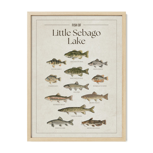 Little Sebago Lake Print