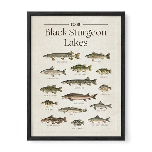 Black Sturgeon Lakes Print