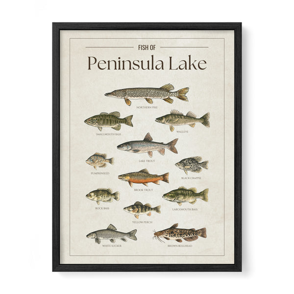 Peninsula Lake Print