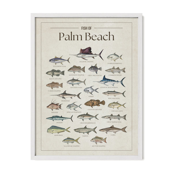 Palm Beach Print