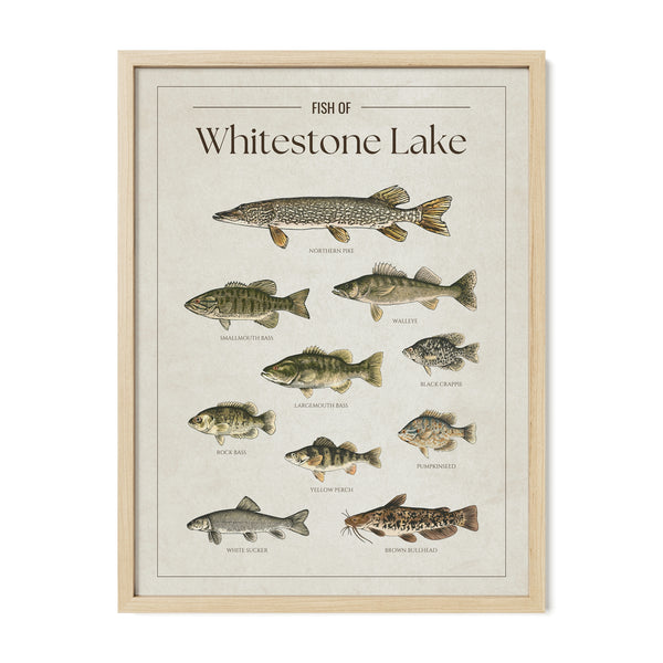 Whitestone Lake Print