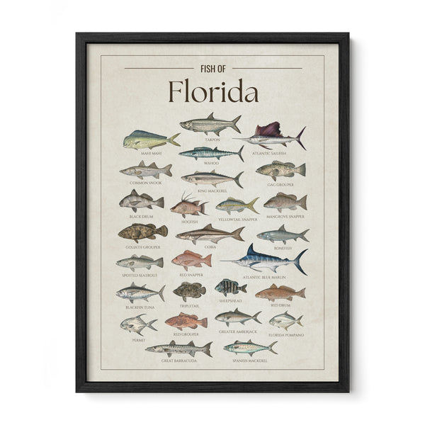 Florida Print