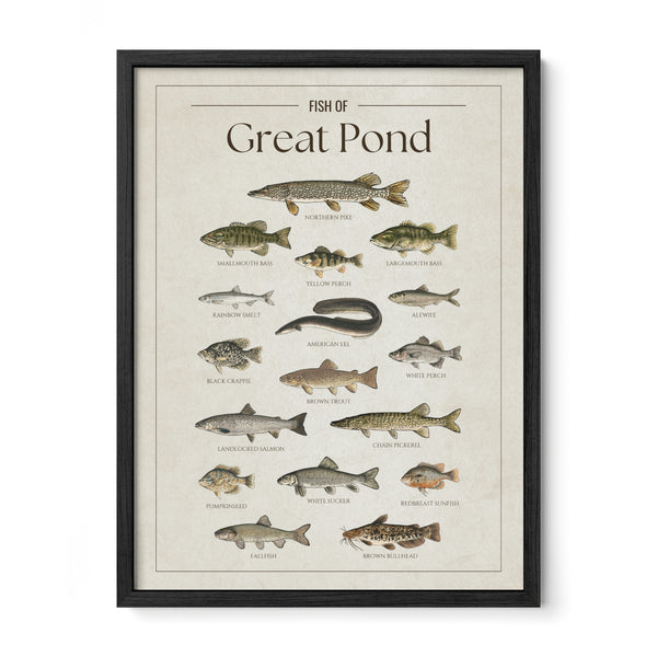 Great Pond Print