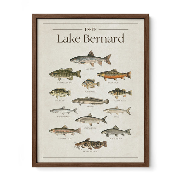 Lake Bernard Print