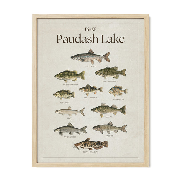 Paudash Lake Print