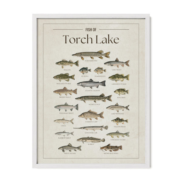 Torch Lake Print