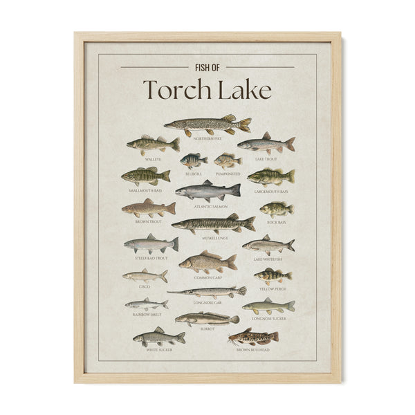 Torch Lake Print