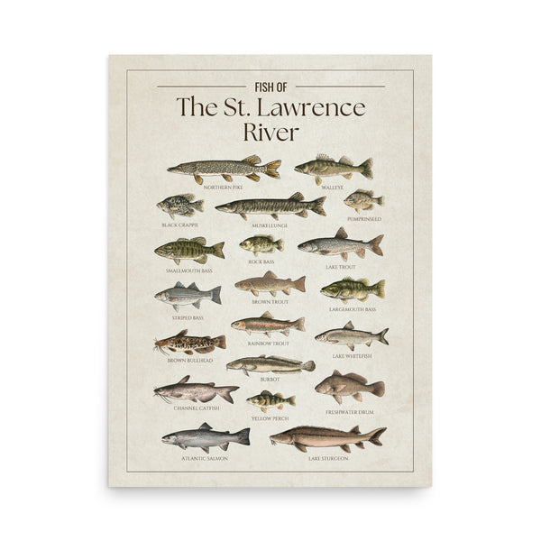 St. Lawrence River Print