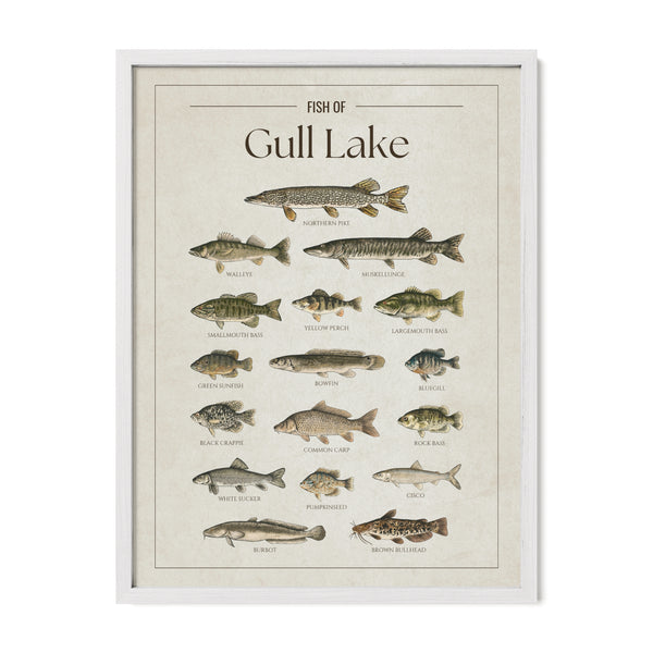 Gull Lake (Minnesota) Print