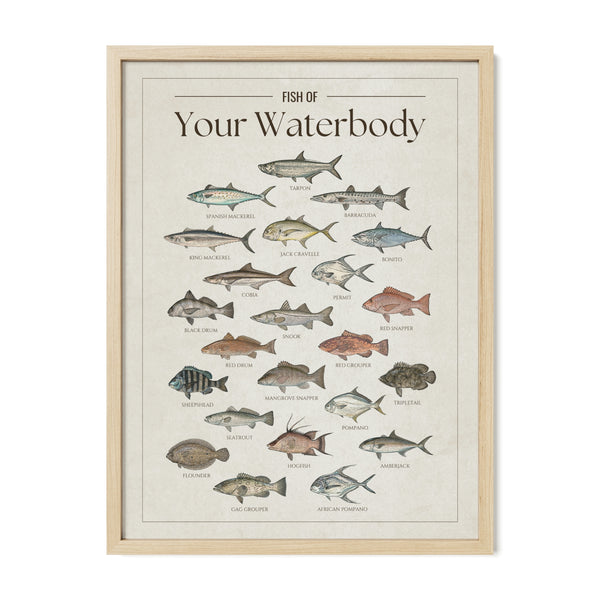 Custom Saltwater Fish Chart