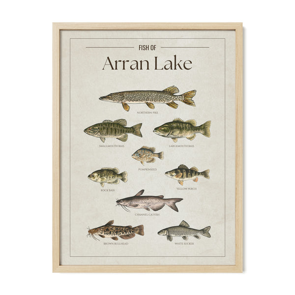 Arran Lake Print