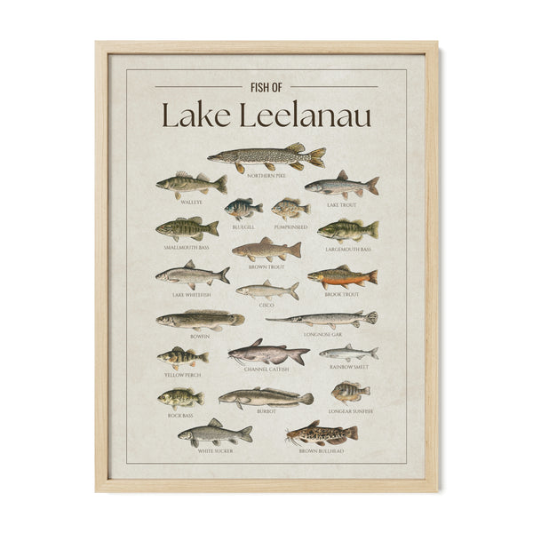 Lake Leelanau Print