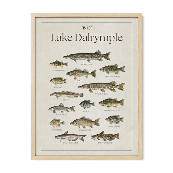 Lake Dalrymple Print