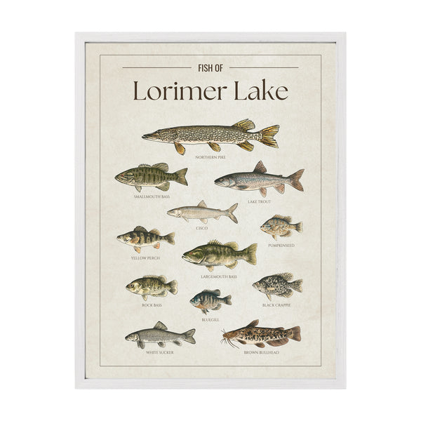 Lorimer Lake Print