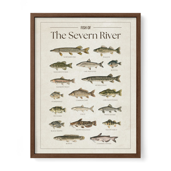 Severn River Print