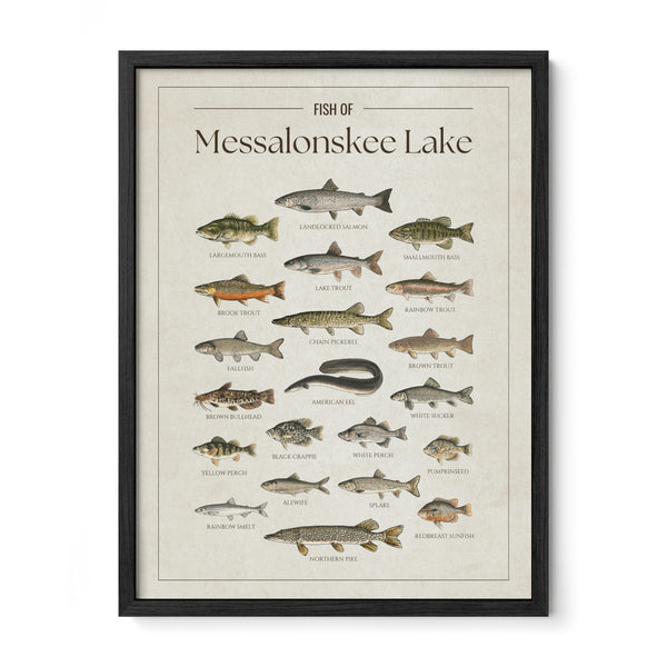Messalonskee Lake Print
