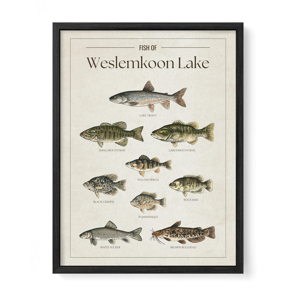 Weslemkoon Lake Print