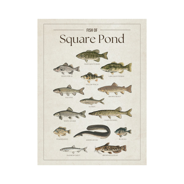 Square Pond Print
