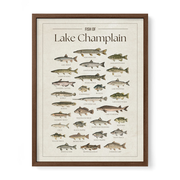 Lake Champlain Print