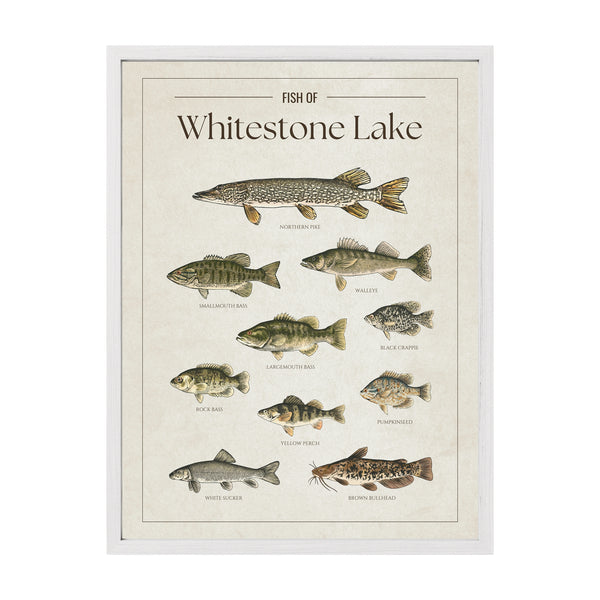 Whitestone Lake Print