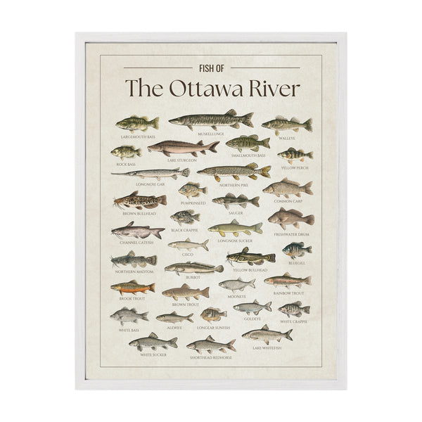 The Ottawa River Print