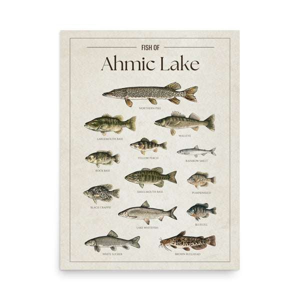 Ahmic Lake Print