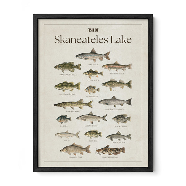 Skaneateles Lake Print
