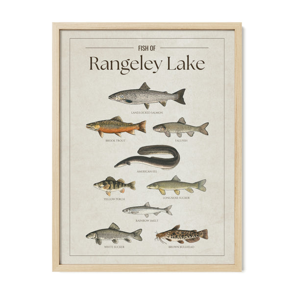Rangeley Lake Print