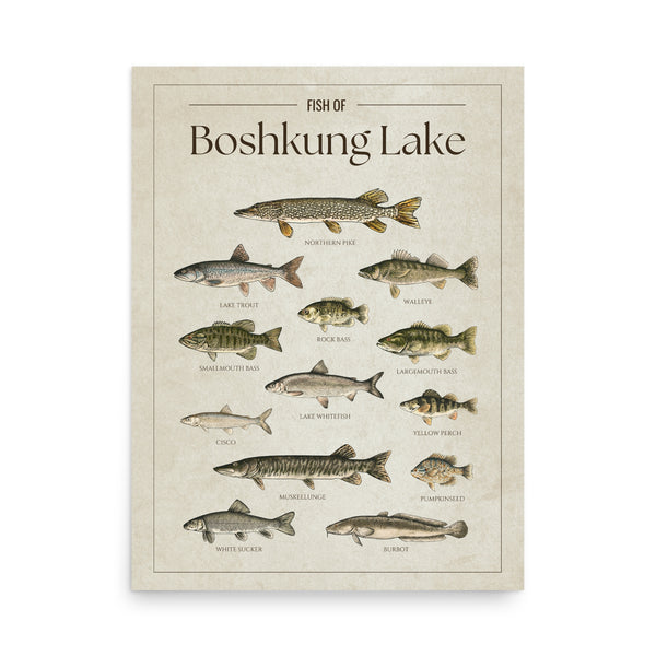 Boshkung Lake Print