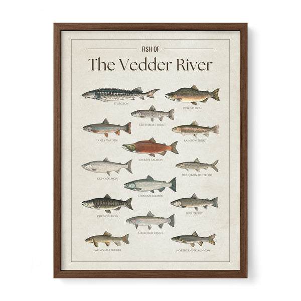 The Vedder River Print