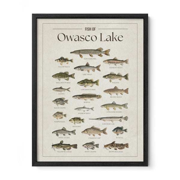 Owasco Lake Print