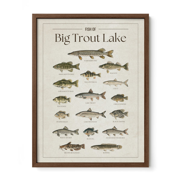 Big Trout Lake Print