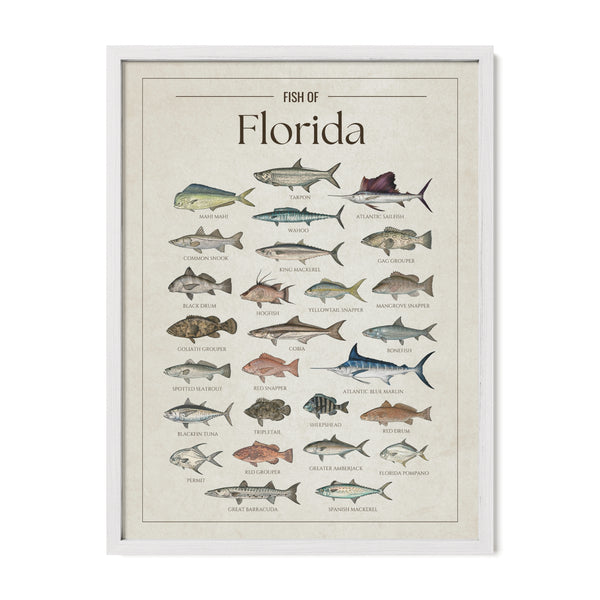 Florida Print