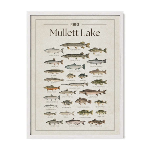 Mullett Lake Print
