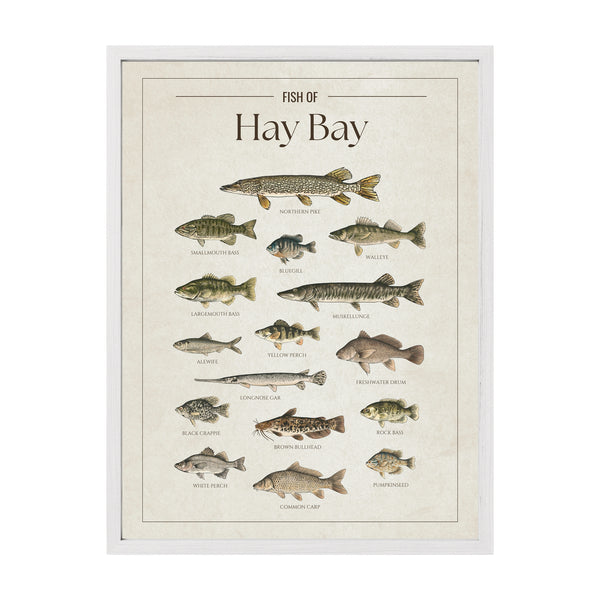 Hay Bay Print