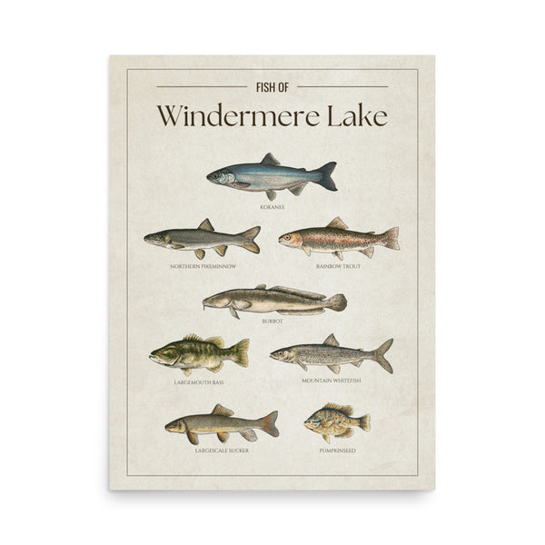 Windermere Lake Print