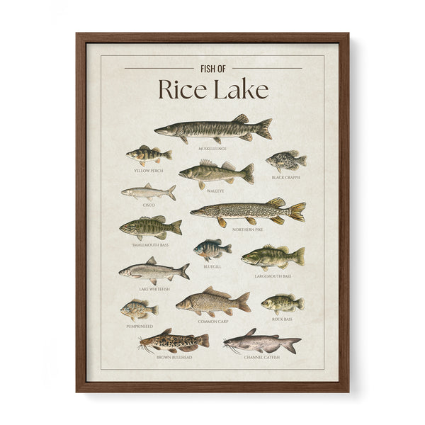 Rice Lake Print