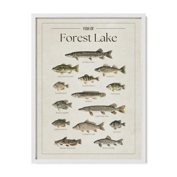 Forest Lake Print