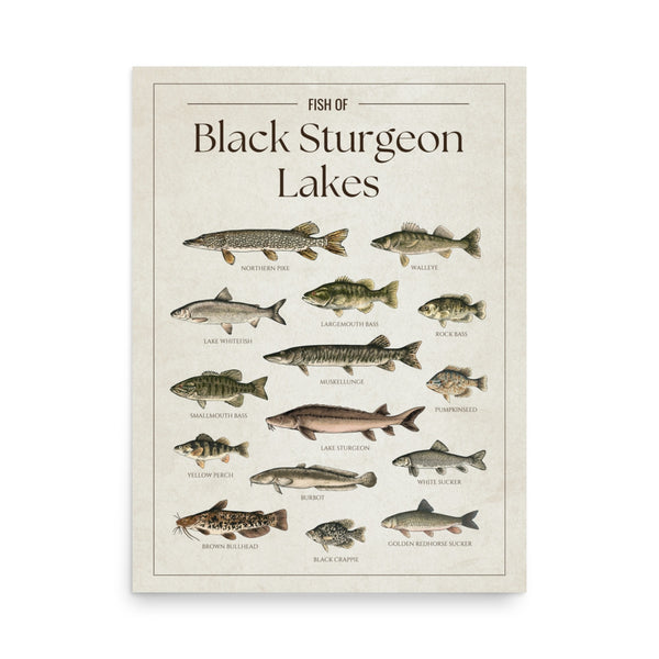 Black Sturgeon Lakes Print